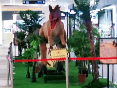 -宁波杉井奥特莱斯广场