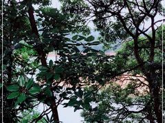 -广州市石门国家森林公园
