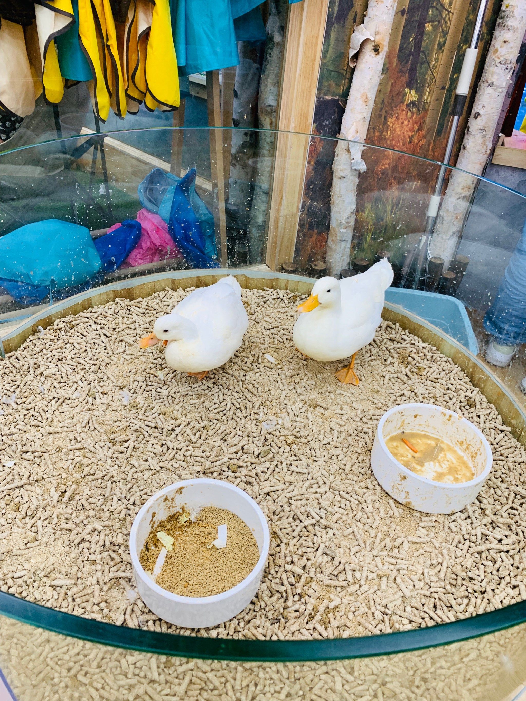 天津河东万达二层新开的萌宠乐园怎么样?