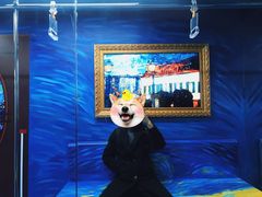 -成都梵高星空艺术馆(春熙路旗舰店)