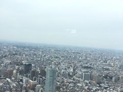 -东京都厅舍