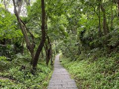 -吴山景区