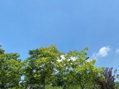 -木守西溪溪隐餐厅