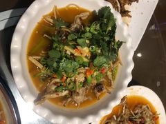 仔姜茄猫儿-飞虹鱼馆(春华路店)