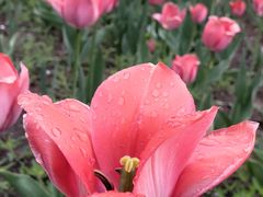 -长春公园(普阳街道)