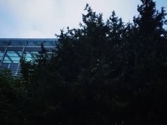 -五道口(地铁站)
