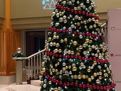 -上海明天广场JW万豪酒店