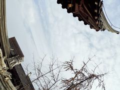 -上海白云观
