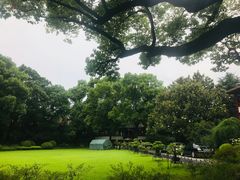 -申粤轩酒楼·三十年粤菜经典(丁香花园店)