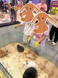 -第五极儿童乐园