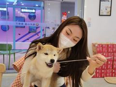 -柴犬小屋·柴餐厅·狗咖食堂(金鼎广场店)