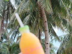 -Jonah's Fruit Shake & Snack Bar