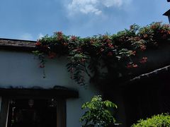 -文儒九号·闽菜馆(三坊七巷店)