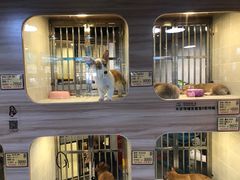 -1013 PET SHOP 宠物商店(近铁城市广场店)