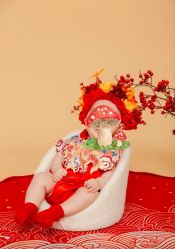 -小熊维尼高端孕婴摄影(清湖金銮店)