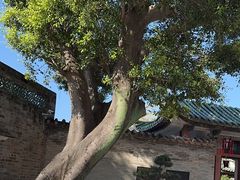 -东莞市可园博物馆