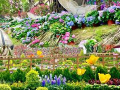 -东莞松山湖万象汇