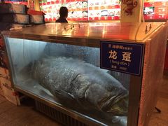 -御唐府海珊瑚主题餐厅