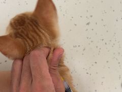 -贝来恩24H动物医院·转诊中心(稻香路店)