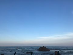 -日照海滨国家森林公园