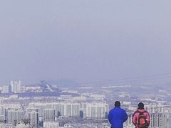 -原山国家森林公园