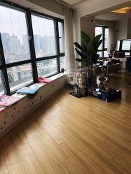 -E.L.K造型momopark店