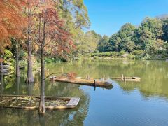 -深圳仙湖植物园