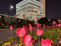 -杭州奥体中心-体育场