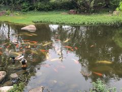 -柳鹭田园区