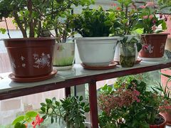 -北京龙庆四季香农家饭庄·灶台鱼·碳烤虹鳟鱼(龙庆峡店)