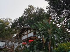 -乌山风景区