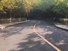 -水濂山森林公园