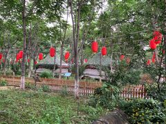 -草根堂农场