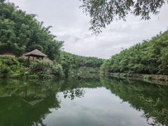 -沐川竹海旅游景区