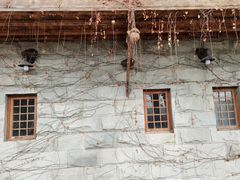 -两江国际影视城