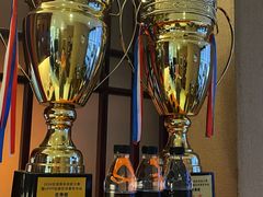 -天猫养车贴膜轻改·蓝电(优匹康桥东路店)