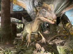 -湖南省地质博物馆