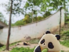 -中国大熊猫保护研究中心雅安碧峰峡基地