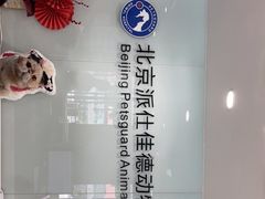 -北京派仕佳德动物医院·超导核磁·CT·神经科·骨科·内外科·急重症管理中心