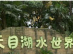 -天目湖水世界