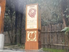 -庐山西海国际温泉度假村