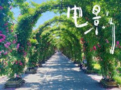 -广富林郊野公园