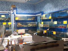 -蚝专家(北滘店)