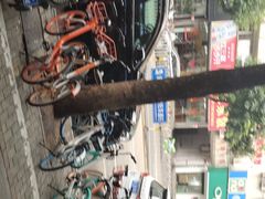 -文昌邓记清补凉(西沙路店)