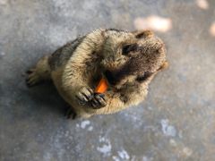 -江天生态园餐厅