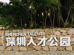 -深圳湾木棉花酒店