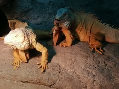 -福州罗源湾海洋世界旅游区