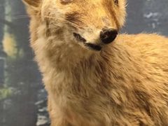 -下渚湖国家湿地公园科普馆