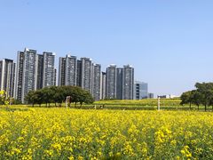 -光明小镇欢乐田园