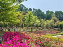 -东莞植物园